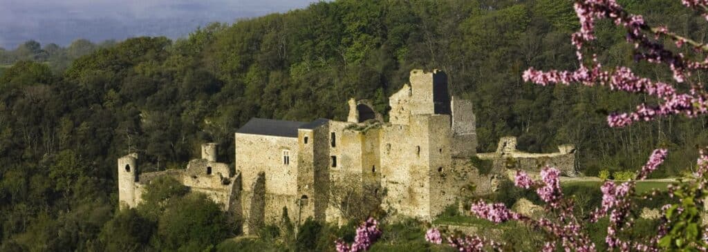 Ruines du château: majesté médiévale et fleurs de printemps Grand château médiéval en ruines sur une pente boisée. Murs de pierre usés et tourelles, encadré par des fleurs roses printanières.