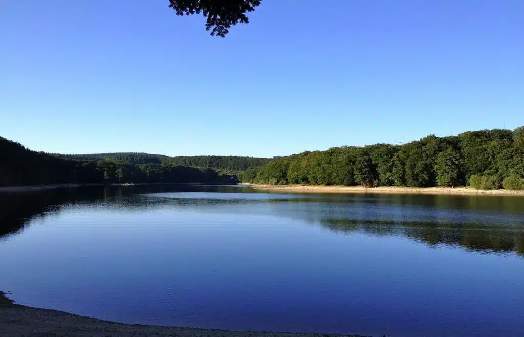 Paysage de lac : Forêt luxuriante et eau bleue miroir Vast paysage lacustre. Le ciel bleu profond se reflète sur l'eau calme, encadrée par une épaisse forêt verdoyante sur les rives.