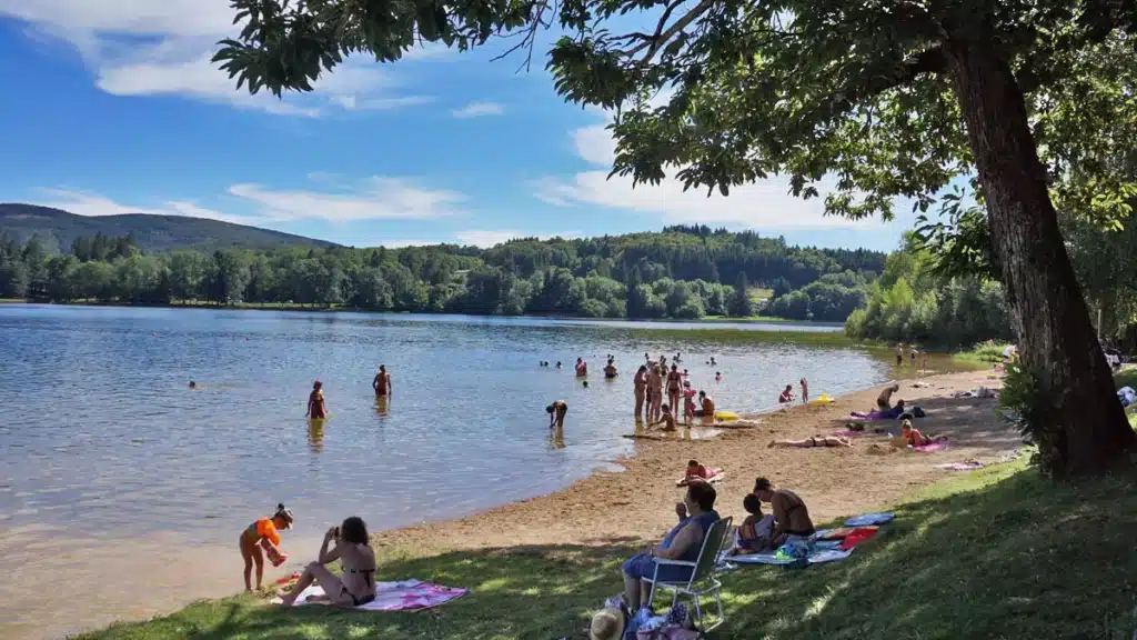 Plage de lac : baignade, soleil et détente en famille cet été. Scène estivale d'un lac entouré de forêts. Des familles se baignent et se détendent sur la plage de sable et l'herbe sous un grand arbre.